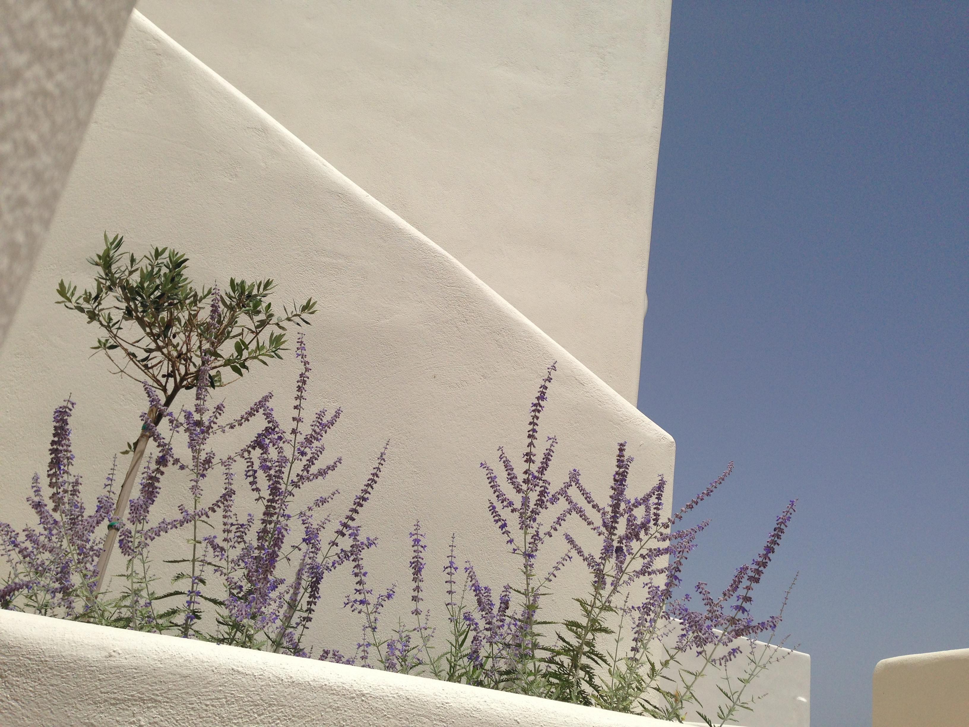 Archipelagos Resort Páros Exterior foto